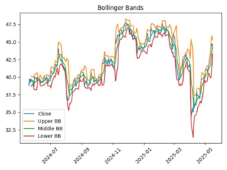 BAC_boll